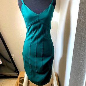 Green, medium sized iris dress never worn, new without tags